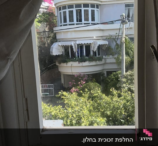 נוף מחלון עם בניין וגינה